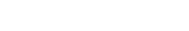 Amir, CEO, Ecomness logo